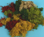 XGM166 - Mixed Lichen 80g