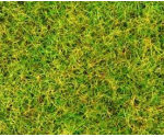 XGM170 - Spring Grass Flock 30g