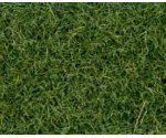 XGM172 - Moorland Grass Flock 30g