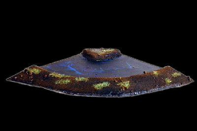 F217 Small Curved River Section