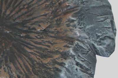 Z251 Annihilation Crater